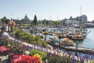 Fra Vancouver: Victoria-tur med ferge og Butchart Gardens