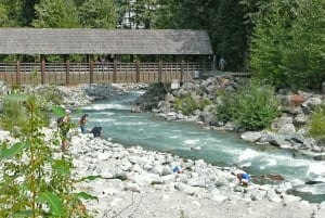 From Vancouver: Whistler and Shannon Falls Private Day Trip