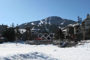 From Vancouver: Whistler and Shannon Falls Private Day Trip