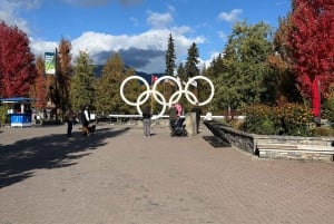 Koko päivän yksityinen kierros Whistleriin ja Shannon Fallsille.