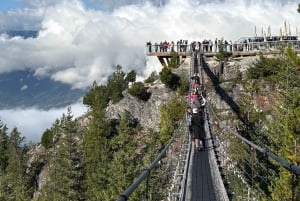 Koko päivän yksityinen kierros Whistleriin ja Shannon Fallsille.