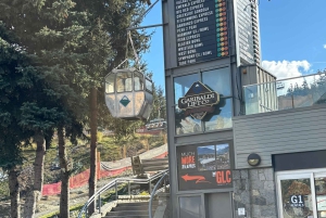 Privat omvisning på en hel dag i Whistler og Shannon Falls.