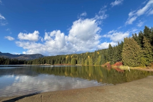 Privat omvisning på en hel dag i Whistler og Shannon Falls.
