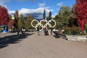 Privat omvisning på en hel dag i Whistler og Shannon Falls.