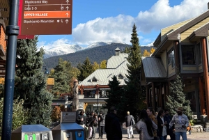 Privat omvisning på en hel dag i Whistler og Shannon Falls.