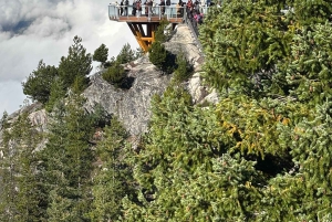 Privat omvisning på en hel dag i Whistler og Shannon Falls.