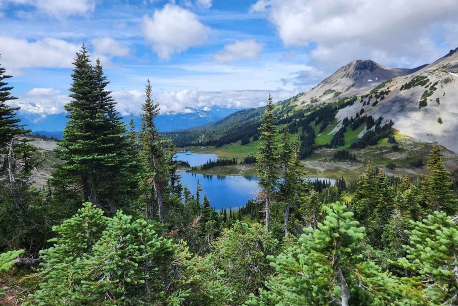 Parc Garibaldi/ Panorama Ridge/ Excursion d'une journée de randonnée