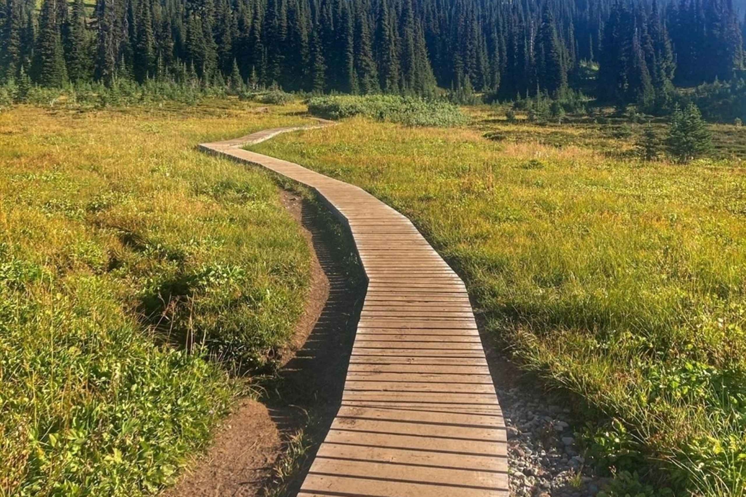 Parc Garibaldi/ Panorama Ridge/ Excursion d'une journée de randonnée