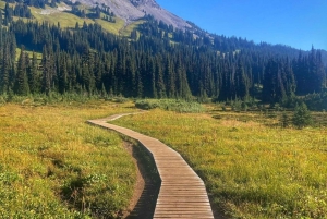 Garibaldi Park/ Panorama Ridge/ Hiking Day Trip