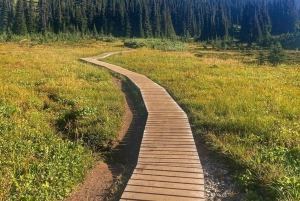 Parc Garibaldi/ Panorama Ridge/ Excursion d'une journée de randonnée