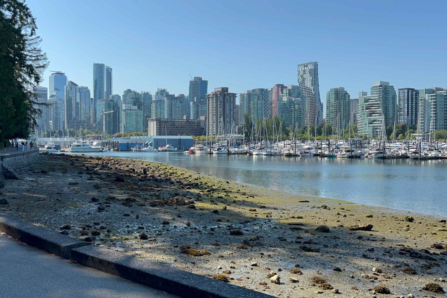 Great Vancouver EUC & E-scooters loop tour