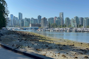 Great Vancouver EUC & E-scooters loop tour