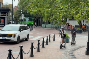 Great Vancouver EUC & E-scooters loop tour