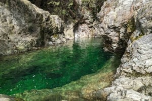 Grouse Mnt+StanleyPark+Hatchery+Cleveland Dam+LynnCanyonTOUR