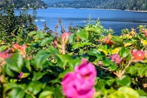 Grouse Mnt+StanleyPark+Hatchery+Cleveland Dam+LynnCanyonTOUR