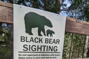 Grouse Mnt+StanleyPark+Hatchery+Cleveland Dam+LynnCanyonTOUR