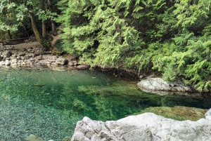 Grouse Mnt+StanleyPark+Hatchery+Cleveland Dam+LynnCanyonTOUR