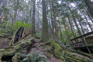 Grouse Mnt+StanleyPark+Hatchery+Cleveland Dam+LynnCanyonTOUR