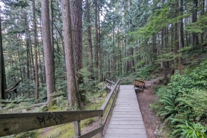 Grouse Mnt+StanleyPark+Hatchery+Cleveland Dam+LynnCanyonTOUR