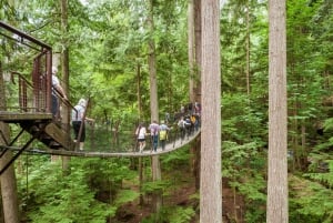 Grouse Mountain, Capilano Bridge og Fish Hatchery-tur