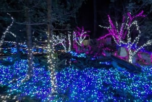 Visite d'Halloween : Pont de la Peur de Capilano, Écloserie de Saumons, et 4 Visites