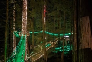 Visite d'Halloween : Pont de la Peur de Capilano, Écloserie de Saumons, et 4 Visites
