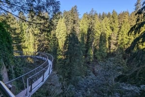 Visite d'Halloween : Pont de la Peur de Capilano, Écloserie de Saumons, et 4 Visites