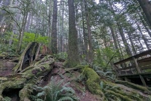 Visite d'Halloween : Pont de la Peur de Capilano, Écloserie de Saumons, et 4 Visites