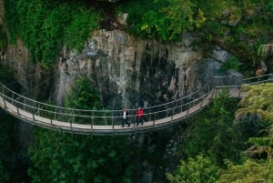 Visite d'Halloween : Pont de la Peur de Capilano, Écloserie de Saumons, et 4 Visites