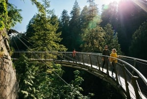 Visite d'Halloween : Pont de la Peur de Capilano, Écloserie de Saumons, et 4 Visites