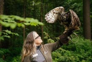 Visite d'Halloween : Pont de la Peur de Capilano, Écloserie de Saumons, et 4 Visites
