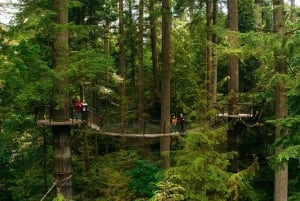 Visite d'Halloween : Pont de la Peur de Capilano, Écloserie de Saumons, et 4 Visites