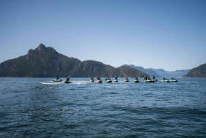 Jetski to Bowen Island, incl beer, wine, coffee or icecream