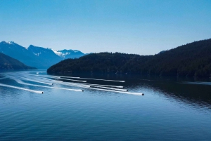 Jetski Bowen Islandille, sis. olutta, viiniä, kahvia tai jäätelöä.