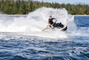 Jetski Bowen Islandille, sis. olutta, viiniä, kahvia tai jäätelöä.