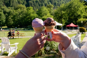 Jetski Bowen Islandille, sis. olutta, viiniä, kahvia tai jäätelöä.