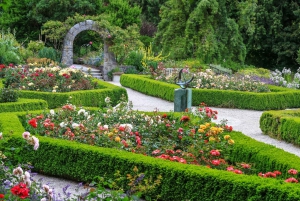 Histoire juive Vancouver Oakridge visite à pied privée