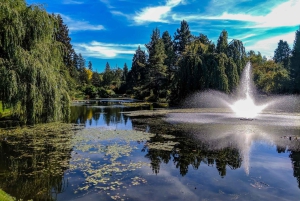 Histoire juive Vancouver Oakridge visite à pied privée