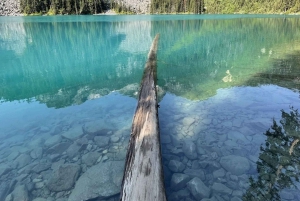 Joffre Lakes/dagstur til fots