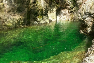 Lynn Canyon, Suspension Bridge & Grouse Mount Private Tour