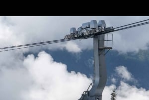 Private Tour of Capilano Suspension Bridge & Grouse Mountain