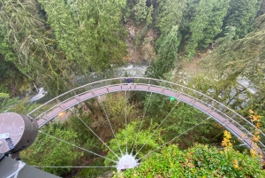Private Tour of Capilano Suspension Bridge & Grouse Mountain