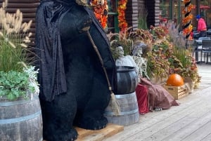 Private Tour of Capilano Suspension Bridge & Grouse Mountain