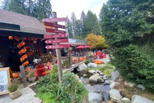 Private Tour of Capilano Suspension Bridge & Grouse Mountain