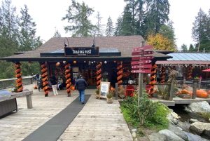 Private Tour of Capilano Suspension Bridge & Grouse Mountain