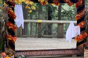 Private Tour of Capilano Suspension Bridge & Grouse Mountain