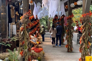 Private Tour of Capilano Suspension Bridge & Grouse Mountain