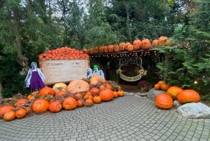 Private Tour of Capilano Suspension Bridge & Grouse Mountain
