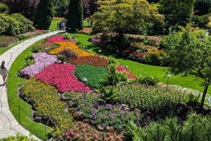Visite d'Halloween : Pont de la Peur de Capilano, Écloserie de Saumons, et 4 Visites