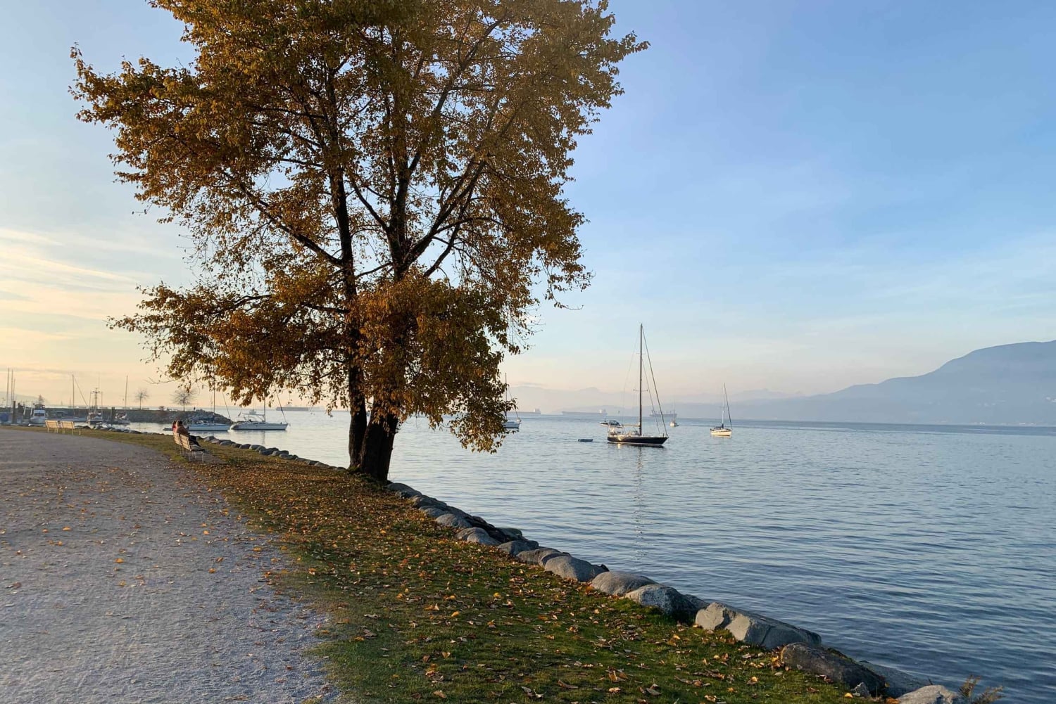Visite privée de Vancouver au coucher du soleil en vélo / E-Bike